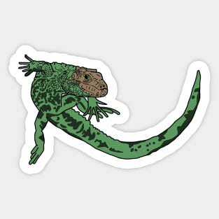 Green Iguana Sticker